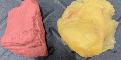 Muscle vs Fat: Why Building Muscle Is Your Secret Weapon for a Faster Metabolism and Better Health